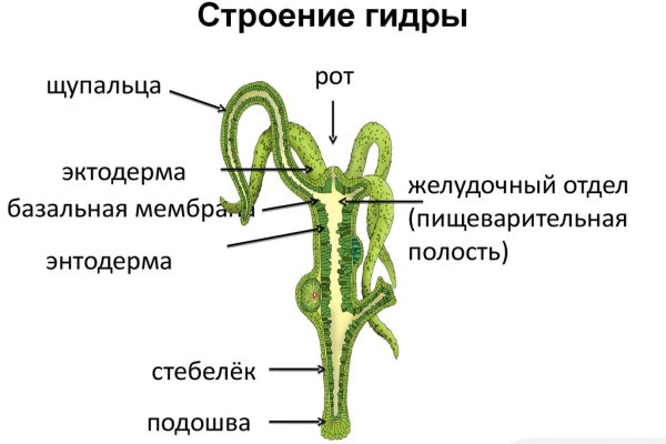 Ссылка на кракен тор