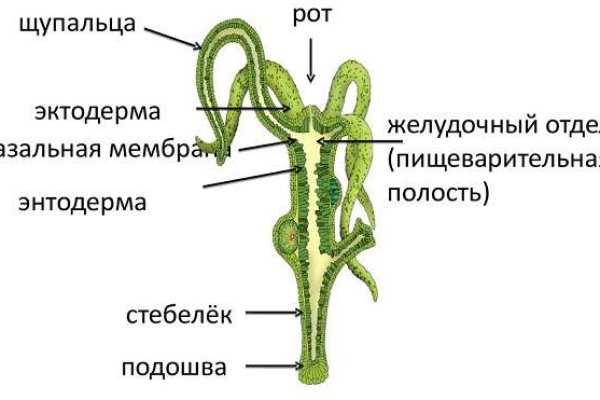 Площадка кракен kraken zerkalo