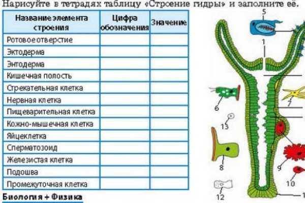 Как зарегистрироваться на кракене