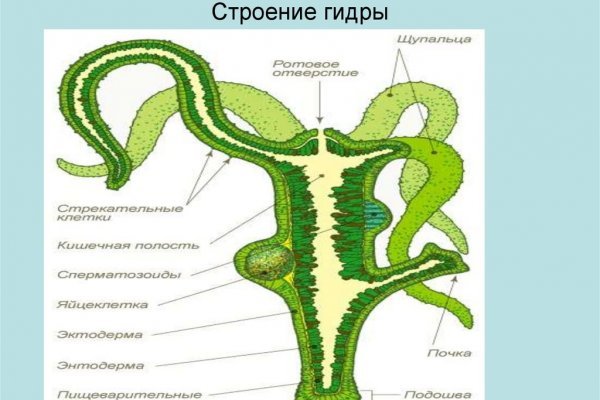 Kraken это современный маркетплейс